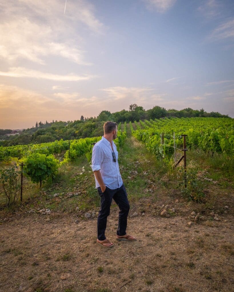 Corfu-Winery