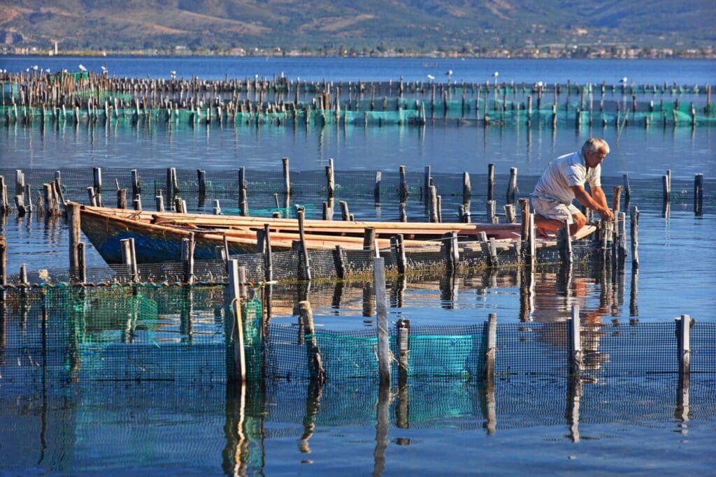 Lagoon,Of,Messolonghi,,Greece,-september,16,,2014.,Fisherman,In,The